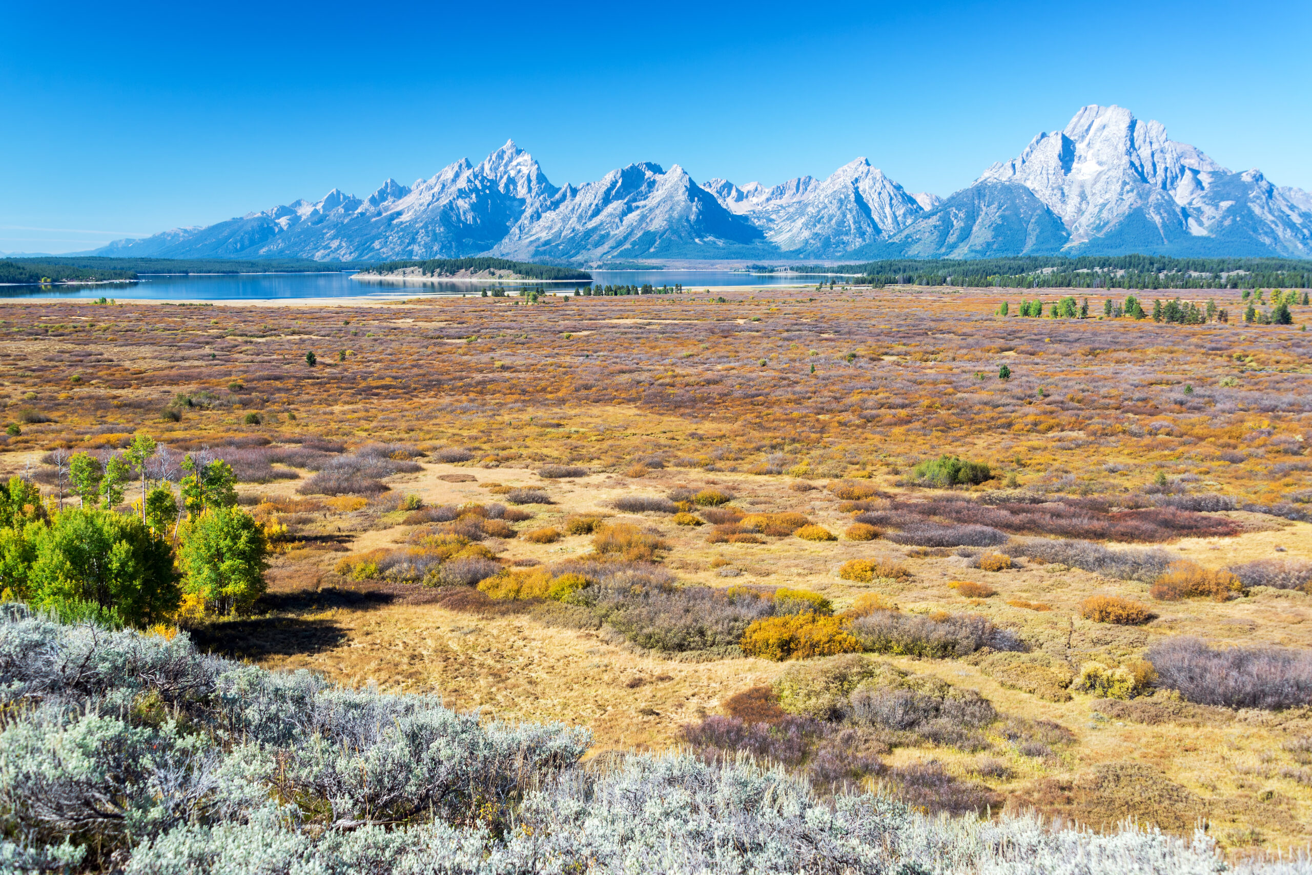 Field and Teton Range in Grand Teton National Park